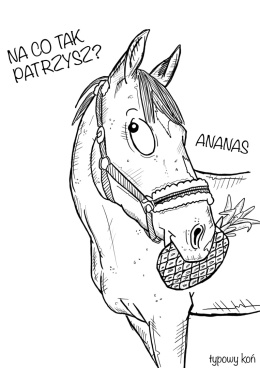 Twók koń kreską Grubego!